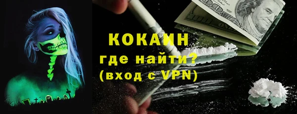 дурь Болотное