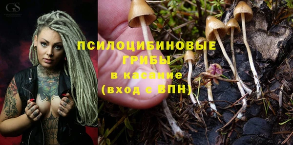 альфа пвп Нефтекумск