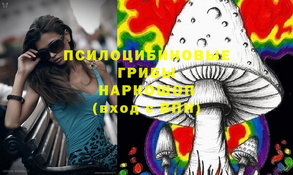 mdpv Нея