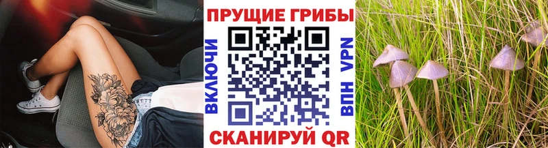 MEGA зеркало  купить  сайты  Анапа  Галлюциногенные грибы Magic Shrooms 