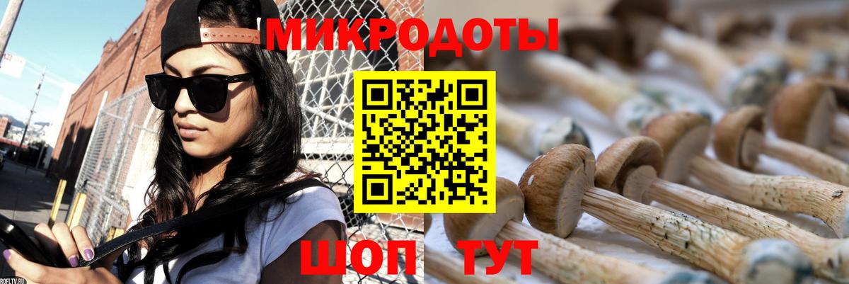 Анапа  Псилоцибиновые грибы прущие грибы  Галлюциногенные грибы Cubensis  Вход с VPN 