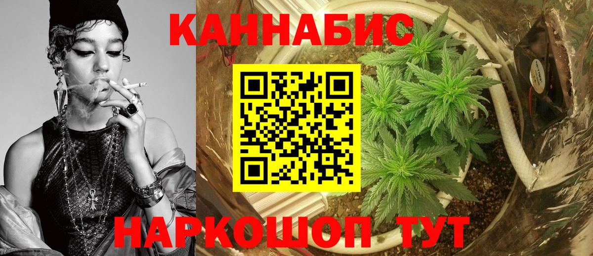 Конопля гибрид Анапа